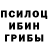 Галлюциногенные грибы Cubensis Michael Batt