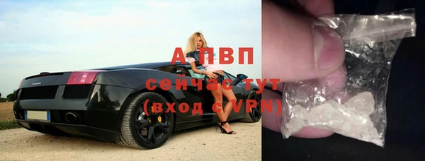 ГАЛЛЮЦИНОГЕННЫЕ ГРИБЫ Дмитров