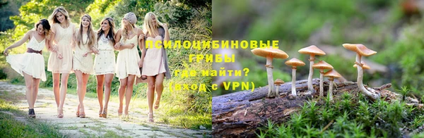 не бодяженный Дмитриев
