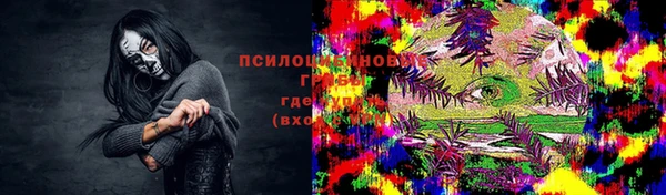 ГАЛЛЮЦИНОГЕННЫЕ ГРИБЫ Дмитров