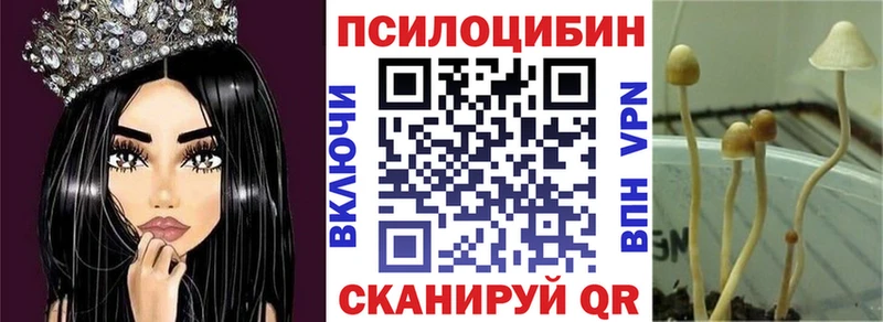 Псилоцибиновые грибы GOLDEN TEACHER  Купить где  Чудово 