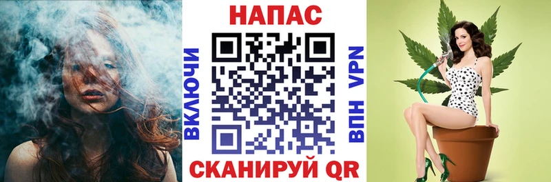 Купить закладки  Чудово  Канабис Ganja 